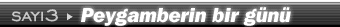 3. say�: Peygamberin bir g�n� by 