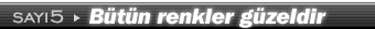 5. say�: B�t�n renkler g�zeldir by 