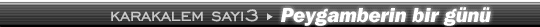 3. say�: Peygamberin bir g�n� by 