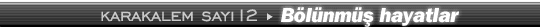 12. say�: B�l�nm�� hayatlar by 